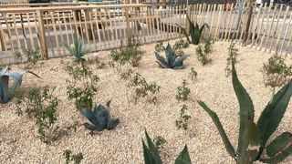 Selon le baromètre Unep-Agrica, l’activité des entreprises du paysage a poursuivi sa croissance au premier semestre 2022, mais à un rythme moins soutenu qu’en 2021. ©P.Fayolle